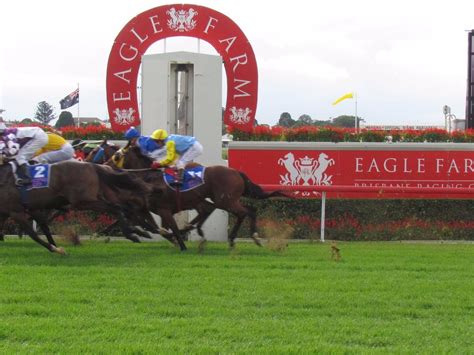 accommodation near eagle farm racecourse|Hotels & Accommodation near Eagle Farm Racecourse .